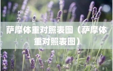 萨摩体重对照表图（萨摩体重对照表图）