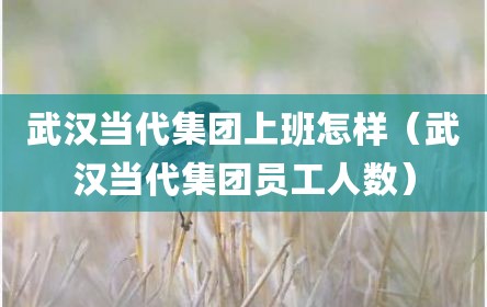 武汉当代集团上班怎样（武汉当代集团员工人数）