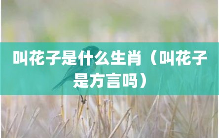 叫花子是什么生肖（叫花子是方言吗）