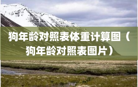 狗年龄对照表体重计算图（狗年龄对照表图片）