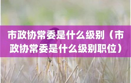 市政协常委是什么级别（市政协常委是什么级别职位）