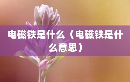 电磁铁是什么（电磁铁是什么意思）