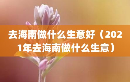去海南做什么生意好（2021年去海南做什么生意）