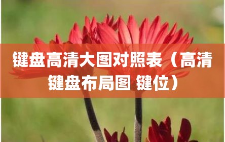 键盘高清大图对照表（高清键盘布局图 键位）