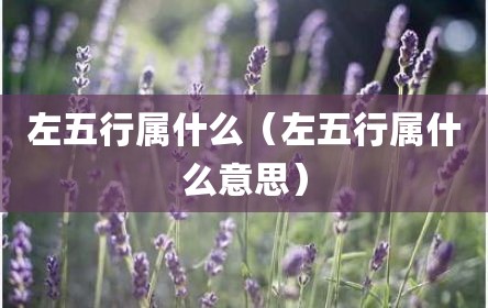 左五行属什么（左五行属什么意思）
