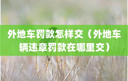外地车罚款怎样交（外地车辆违章罚款在哪里交）