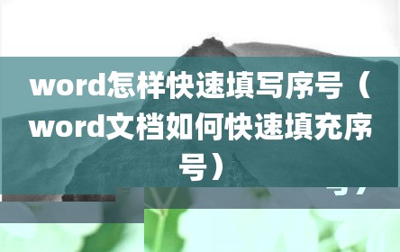word怎样快速填写序号（word文档如何快速填充序号）