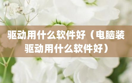 驱动用什么软件好（电脑装驱动用什么软件好）