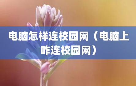 电脑怎样连校园网（电脑上咋连校园网）