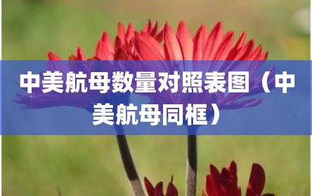 中美航母数量对照表图（中美航母同框）