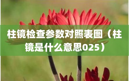 柱镜检查参数对照表图（柱镜是什么意思025）