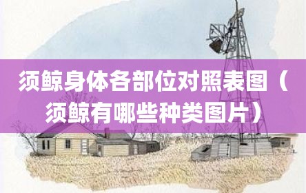 须鲸身体各部位对照表图（须鲸有哪些种类图片）