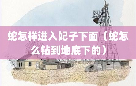 蛇怎样进入妃子下面（蛇怎么钻到地底下的）