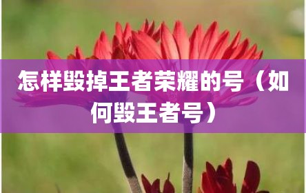 怎样毁掉王者荣耀的号（如何毁王者号）