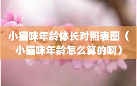 小猫咪年龄体长对照表图（小猫咪年龄怎么算的啊）