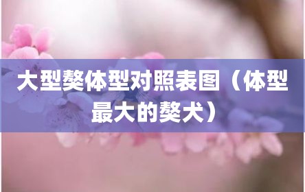 大型獒体型对照表图（体型最大的獒犬）
