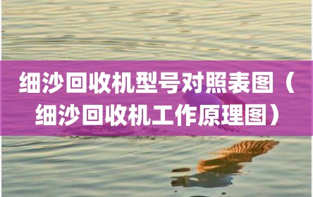 细沙回收机型号对照表图（细沙回收机工作原理图）