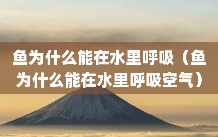 鱼为什么能在水里呼吸（鱼为什么能在水里呼吸空气）