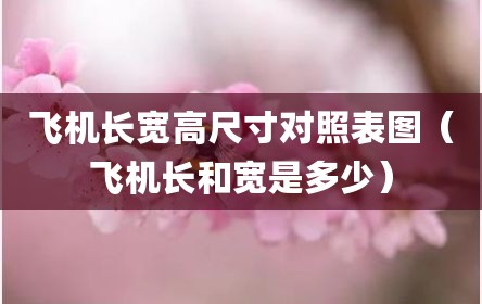 飞机长宽高尺寸对照表图（飞机长和宽是多少）