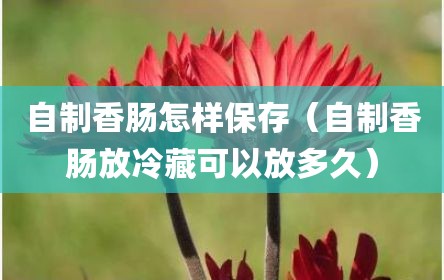自制香肠怎样保存（自制香肠放冷藏可以放多久）