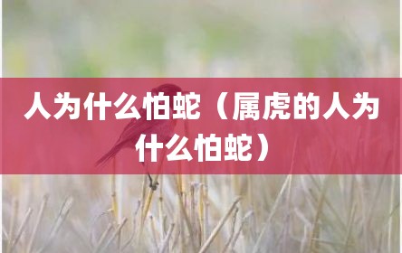 人为什么怕蛇（属虎的人为什么怕蛇）