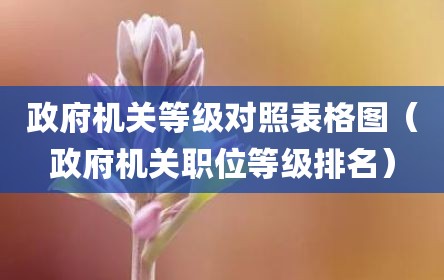 政府机关等级对照表格图（政府机关职位等级排名）