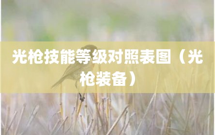 光枪技能等级对照表图（光枪装备）