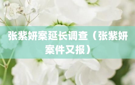张紫妍案延长调查（张紫妍案件又报）