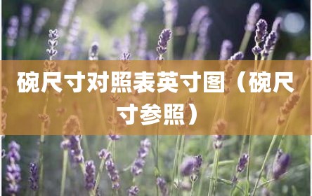 碗尺寸对照表英寸图（碗尺寸参照）