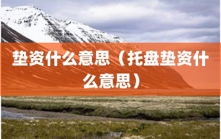 垫资什么意思（托盘垫资什么意思）
