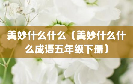 美妙什么什么（美妙什么什么成语五年级下册）
