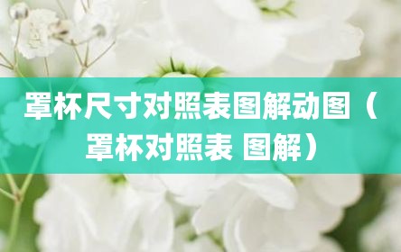 罩杯尺寸对照表图解动图（罩杯对照表 图解）