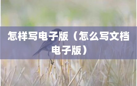 怎样写电子版（怎么写文档电子版）