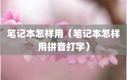 笔记本怎样用（笔记本怎样用拼音打字）