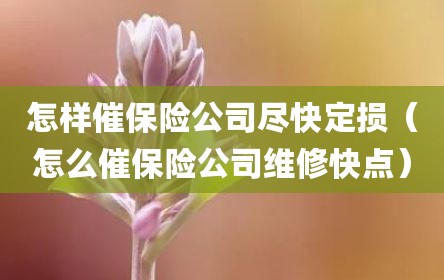 怎样催保险公司尽快定损（怎么催保险公司维修快点）