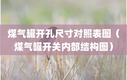煤气罐开孔尺寸对照表图（煤气罐开关内部结构图）