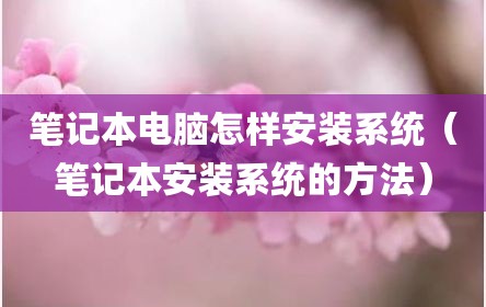 笔记本电脑怎样安装系统（笔记本安装系统的方法）