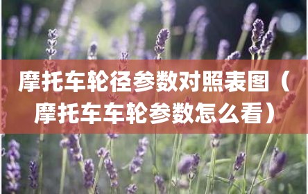 摩托车轮径参数对照表图（摩托车车轮参数怎么看）