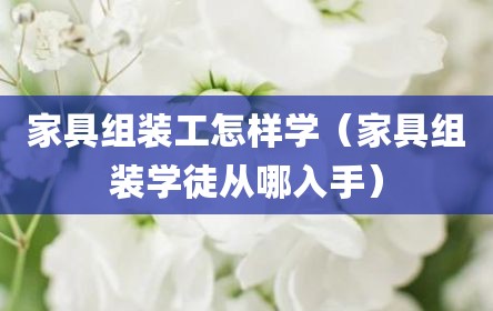 家具组装工怎样学（家具组装学徒从哪入手）