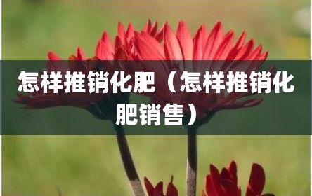 怎样推销化肥（怎样推销化肥销售）