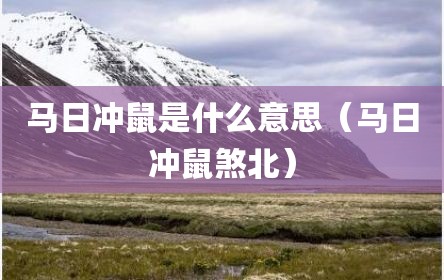 马日冲鼠是什么意思（马日冲鼠煞北）