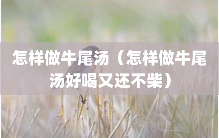 怎样做牛尾汤（怎样做牛尾汤好喝又还不柴）