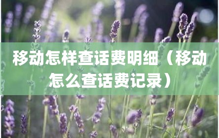 移动怎样查话费明细（移动怎么查话费记录）