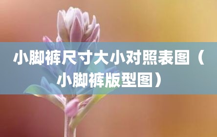 小脚裤尺寸大小对照表图（小脚裤版型图）