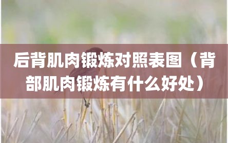后背肌肉锻炼对照表图（背部肌肉锻炼有什么好处）