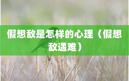假想敌是怎样的心理（假想敌遇难）
