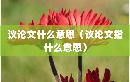 议论文什么意思（议论文指什么意思）