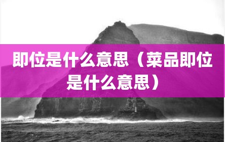即位是什么意思（菜品即位是什么意思）