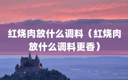 红烧肉放什么调料（红烧肉放什么调料更香）
