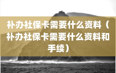补办社保卡需要什么资料（补办社保卡需要什么资料和手续）